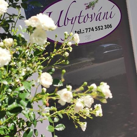 Apartmán Café u Kordulky Ratiskovice Kültér fotó